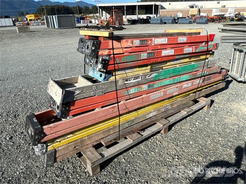 Quantity of (8) Ladder Redelid ja platvormid