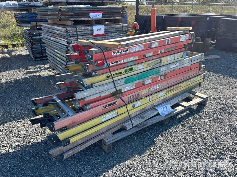 Quantity of (8) Ladder Redelid ja platvormid