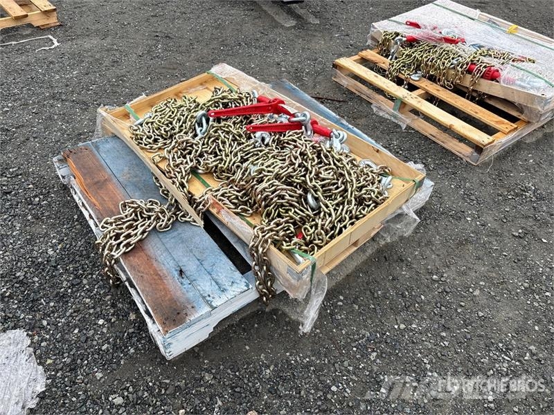 Quantity of Greatbear Ratchet Binder and Chain (Un Andre komponenter
