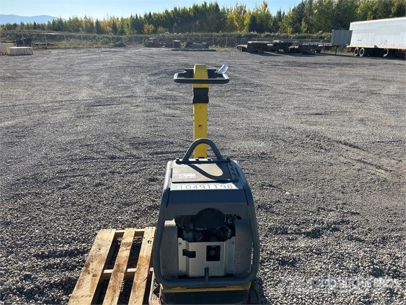 Wacker Neuson DPU6555 Vibratory Plate Compactor دكاكات أفقية