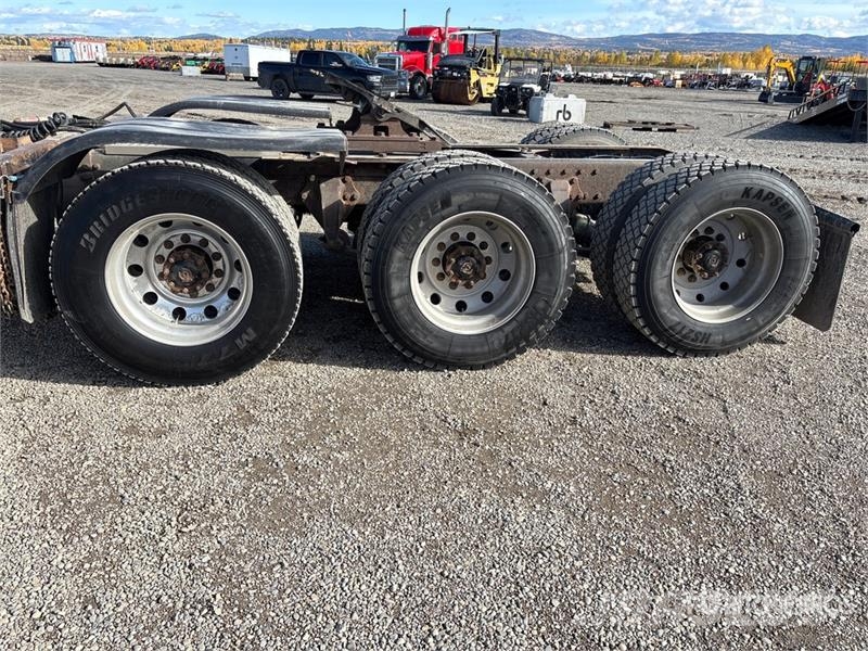 Western Star 4900SA شاحنات أشجار