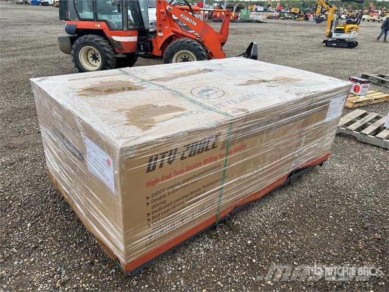  XY200KT-RED Utility Vehicle (Unused) Комунални съоражения