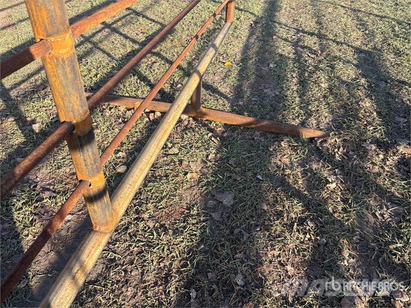  24 ft Livestock Panel (Unused) Overige veehouderijmachines