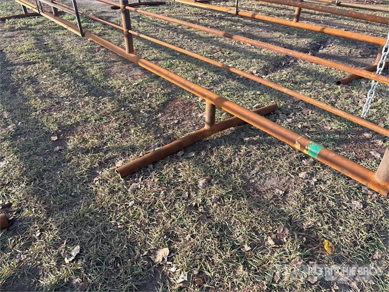 24 ft Livestock Panel (Unused) Overige veehouderijmachines