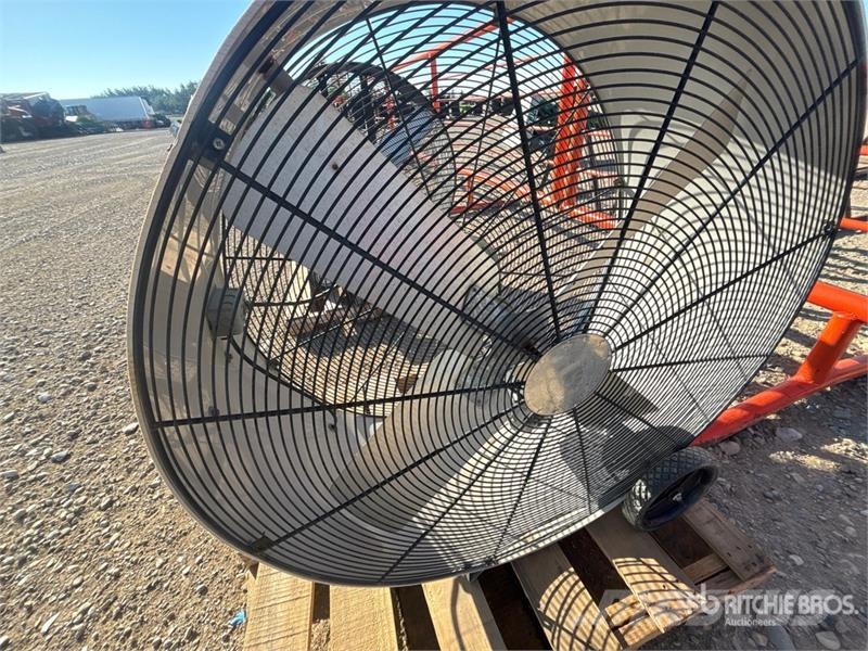 42 in Fan Drugi deli