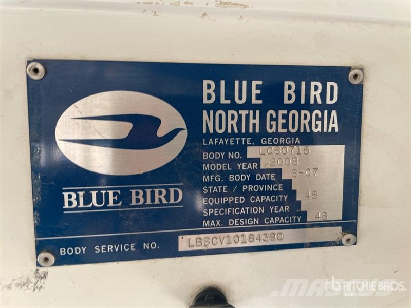 Blue Bird 48-Seat School Bus 迷你巴士