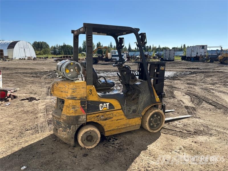 CAT C5000-LP 5000 lb Cushion Tire Forklift Targoncák-Egyéb