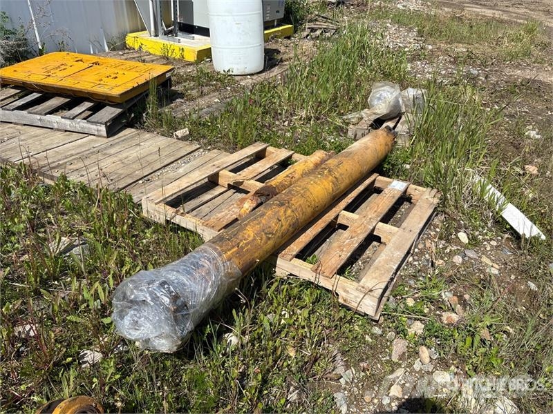 CAT of (2) Cat Hydraulic Cylinders Drugi deli