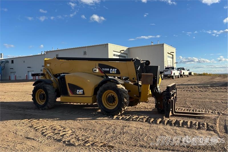 CAT TL1255D Telehandler Teleszkópos rakodók