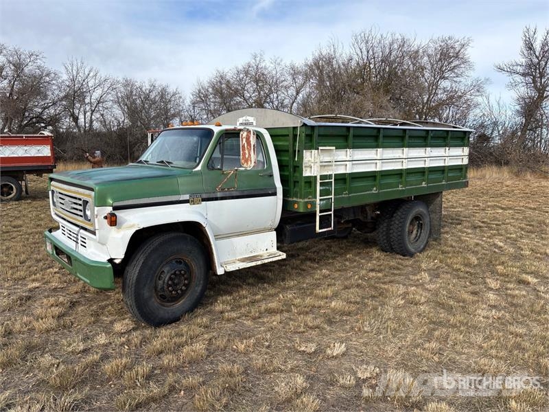 Chevrolet C60 4x2 Grain Truck شاحنات المزارع / الحبوب