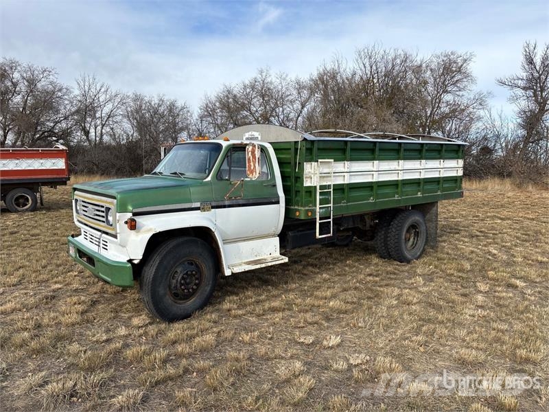 Chevrolet C60 4x2 Grain Truck شاحنات المزارع / الحبوب