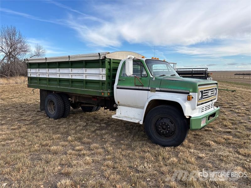 Chevrolet C60 4x2 Grain Truck شاحنات المزارع / الحبوب