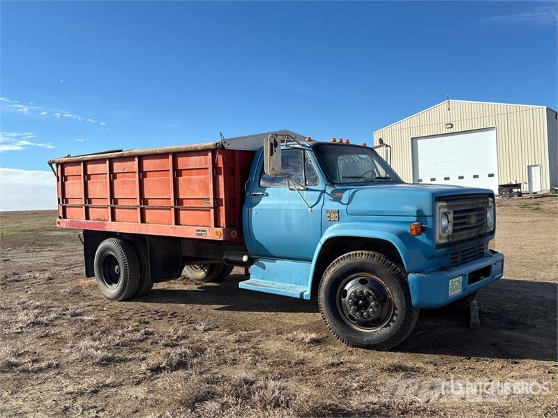 Chevrolet C60 4x2 Grain Truck (Inoperable) зерновозы