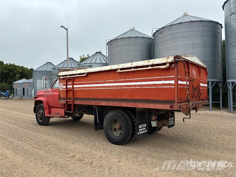 Chevrolet C60 Scottsdale 4x2 Grain Truck 农用/粮食运输车