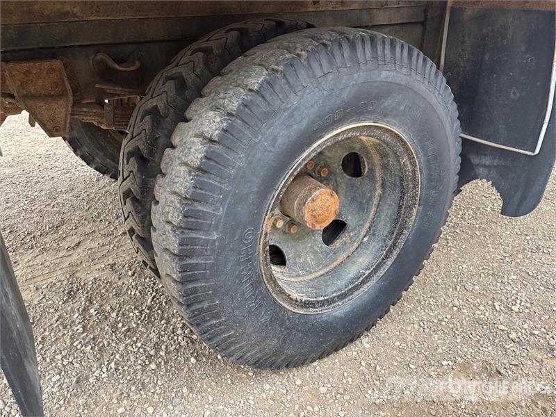 Chevrolet C60 Scottsdale 4x2 Grain Truck 农用/粮食运输车