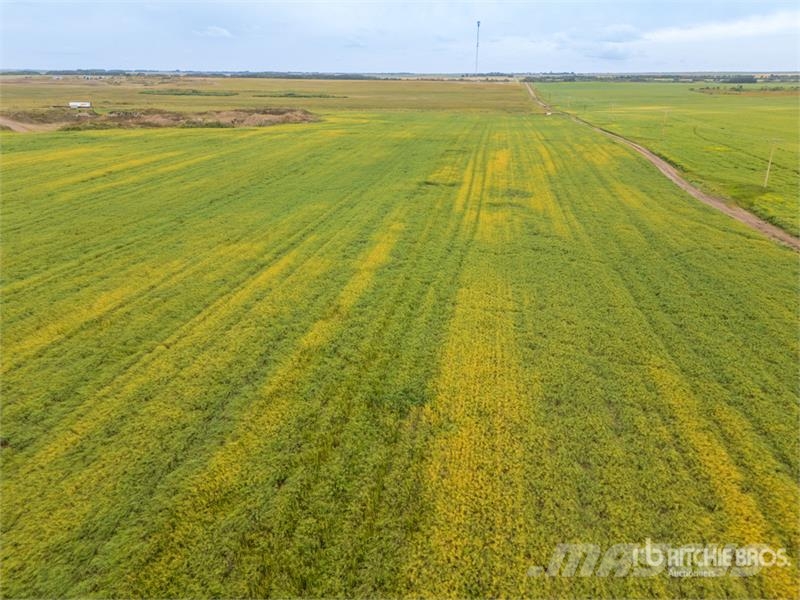 Delisle, SK NE 21-32-6-W3 Ext 9 58.79 +/- Acres on Další