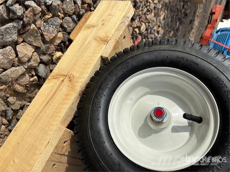 Easy-Kleen Magnum Gold Pressure Washer (Unused) Kergsurvepesurid