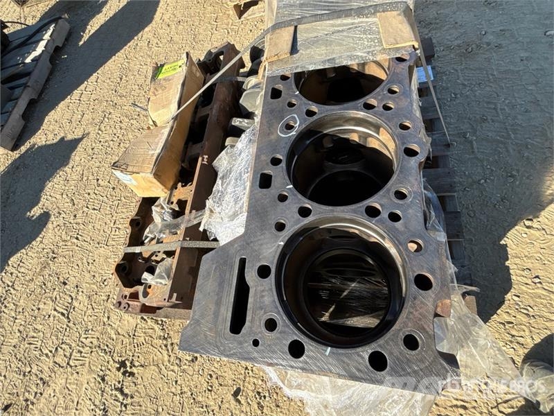 Engine Motori
