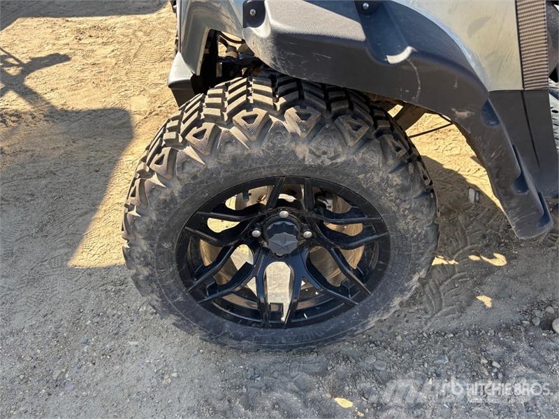 EV Rambler RBL Golf Cart Golf arabalari