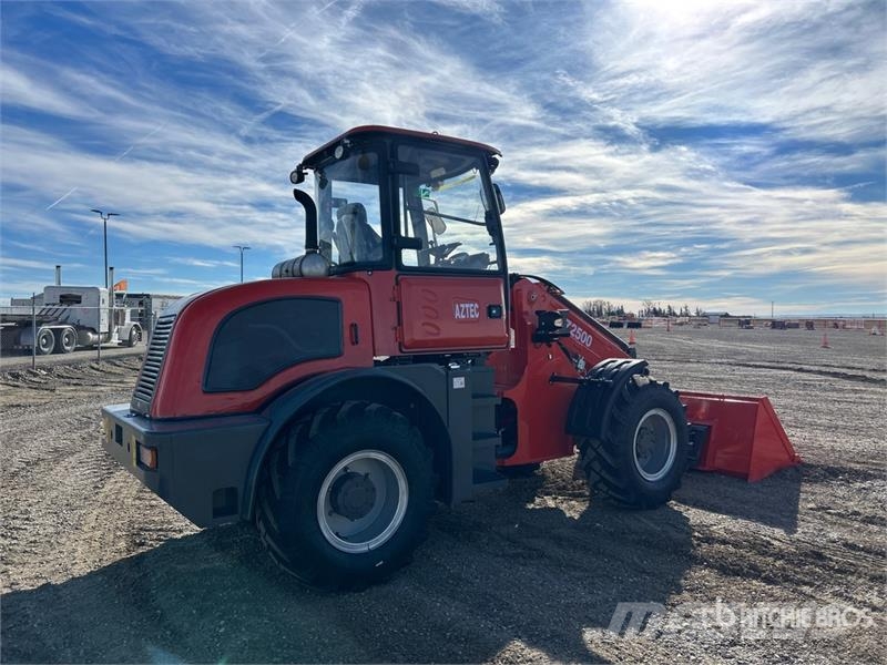 Everun ER2500 Telescopic Wheel Loader (Unused) Pale gommate