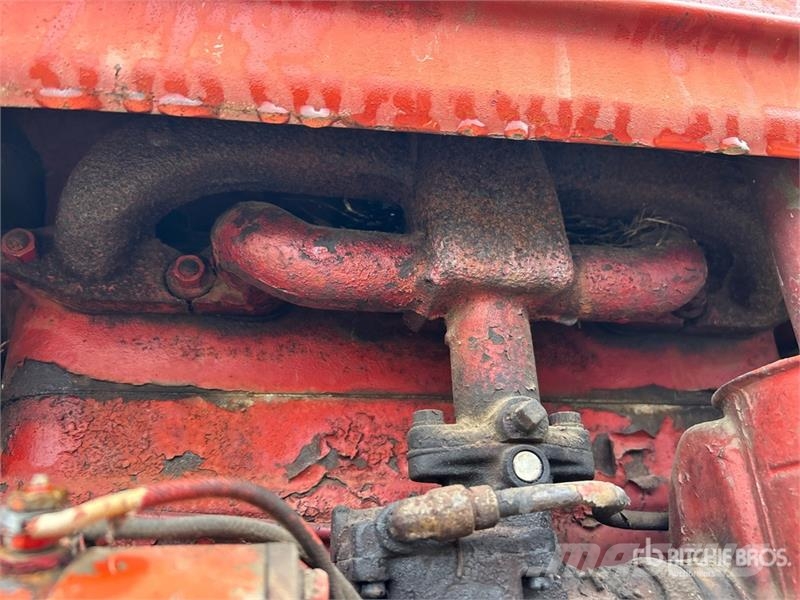 Farmall 2WD Tractor (Inoperable) Traktorit