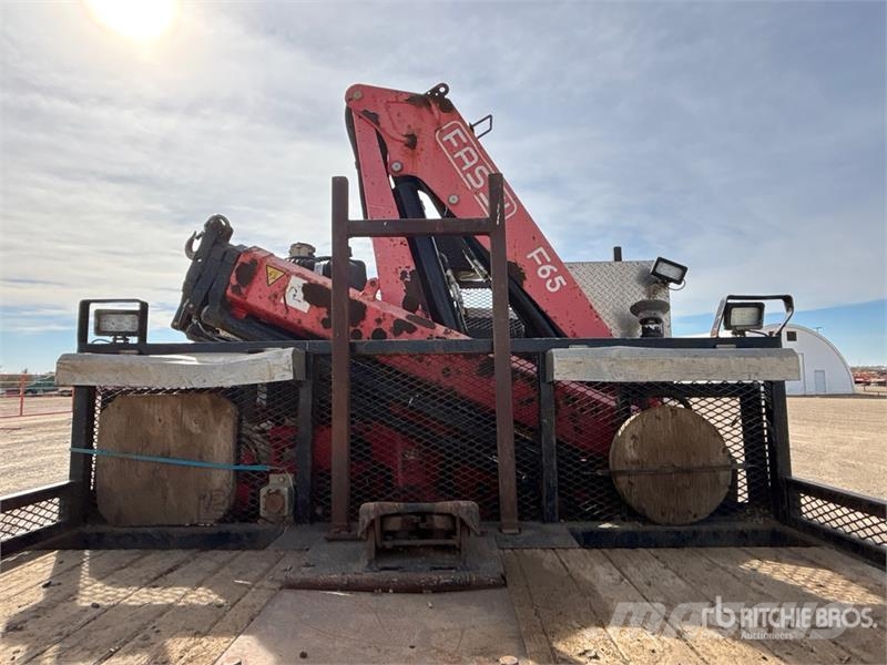 Fassi 5500 Autogru