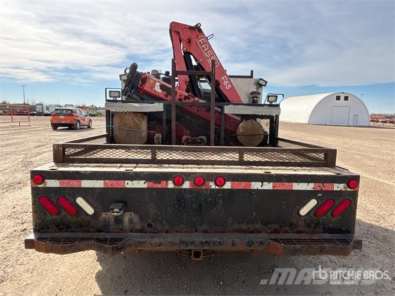 Fassi 5500 Autogru
