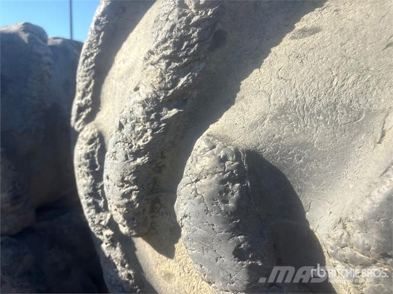 Firestone Skidder Tires Gume, točkovi i felne