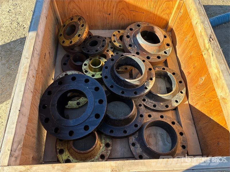 Flanges Fittings and Processing Equipment