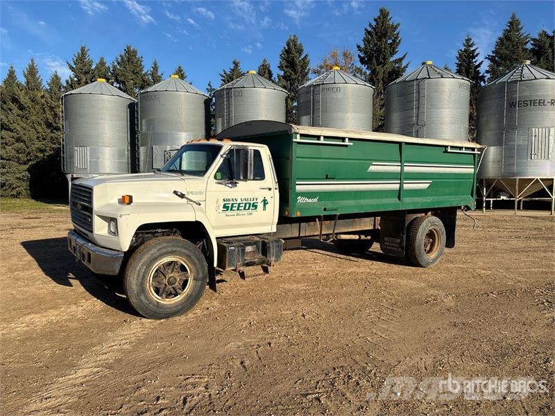 Ford 800 4x2 Grain Truck зерновозы