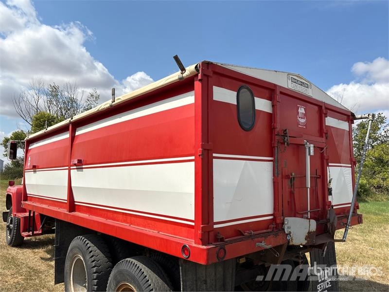 Ford 800 6x2 Grain Truck 农用/粮食运输车