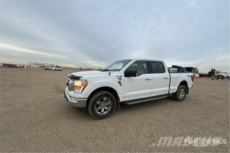 Ford F-150 Ostalo