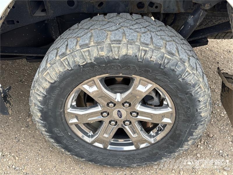 Ford F-150 Ostalo