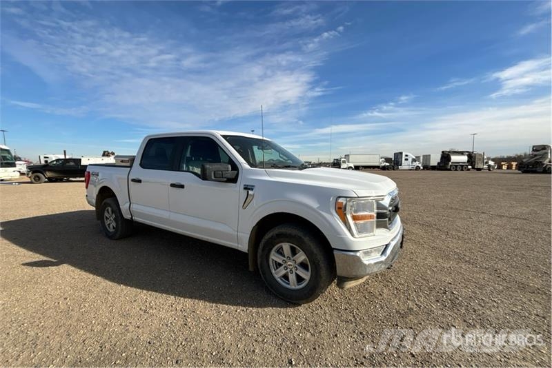 Ford F-150 Ostalo