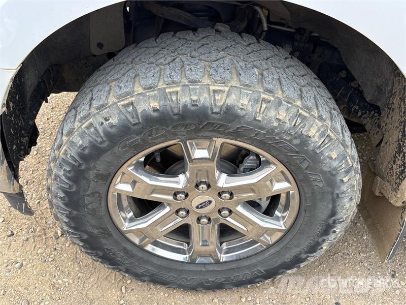 Ford F-150 Ostalo