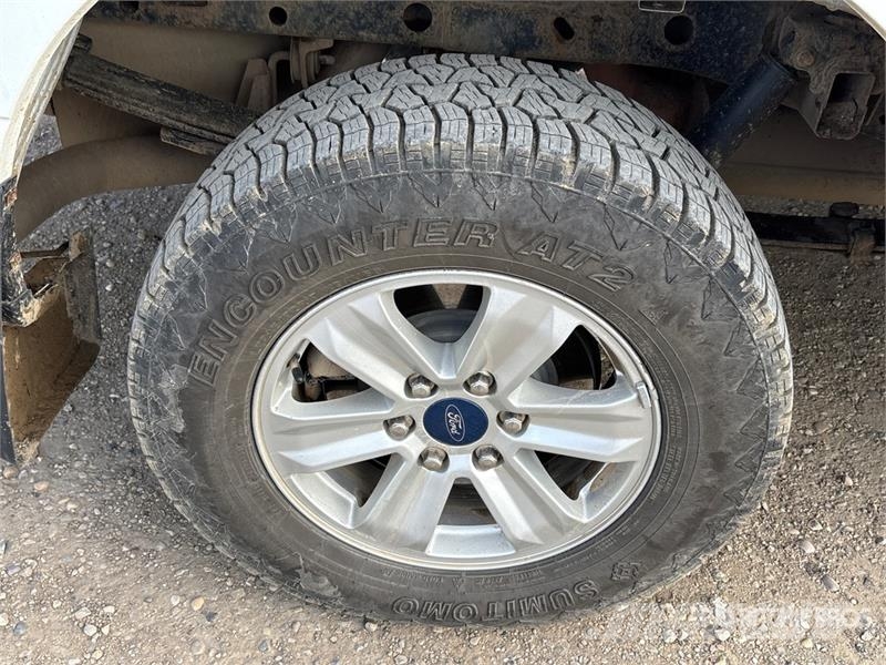 Ford F-150 Ostalo