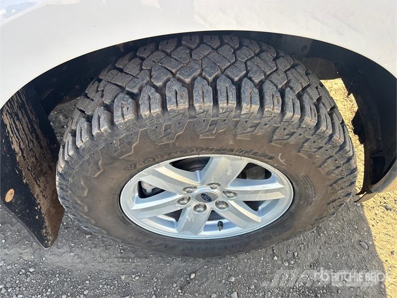 Ford F-150 Andere Transporter