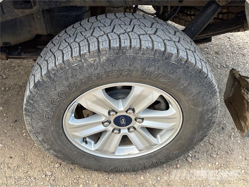Ford F-150 Ostalo