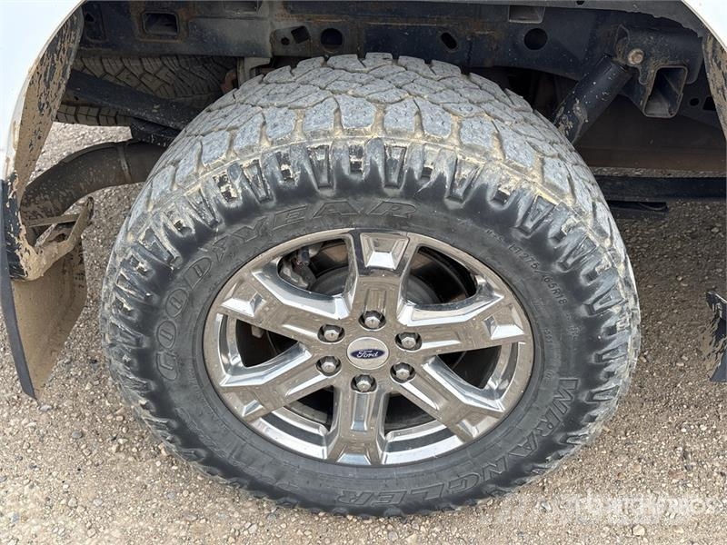 Ford F-150 Ostalo