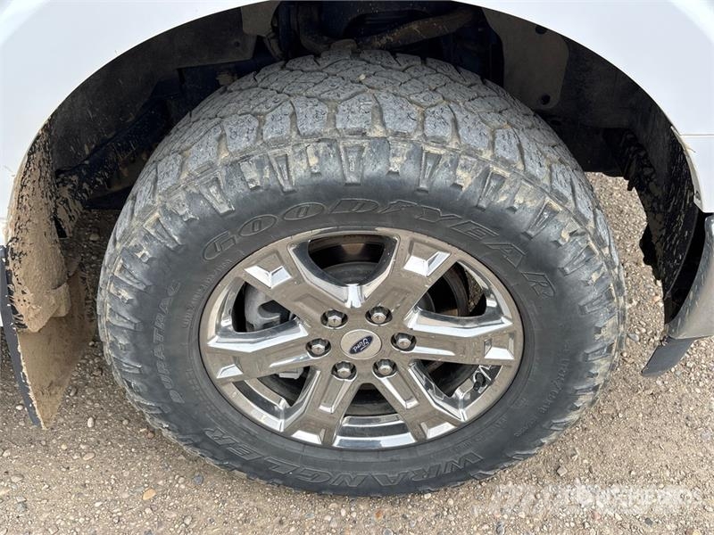 Ford F-150 Ostalo