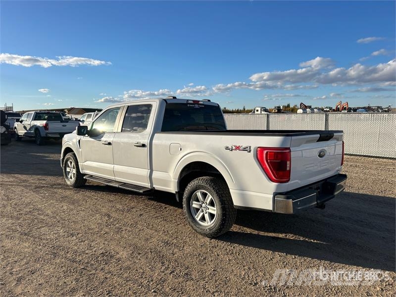 Ford F-150 4x4 Crew Cab Pickup Ostalo