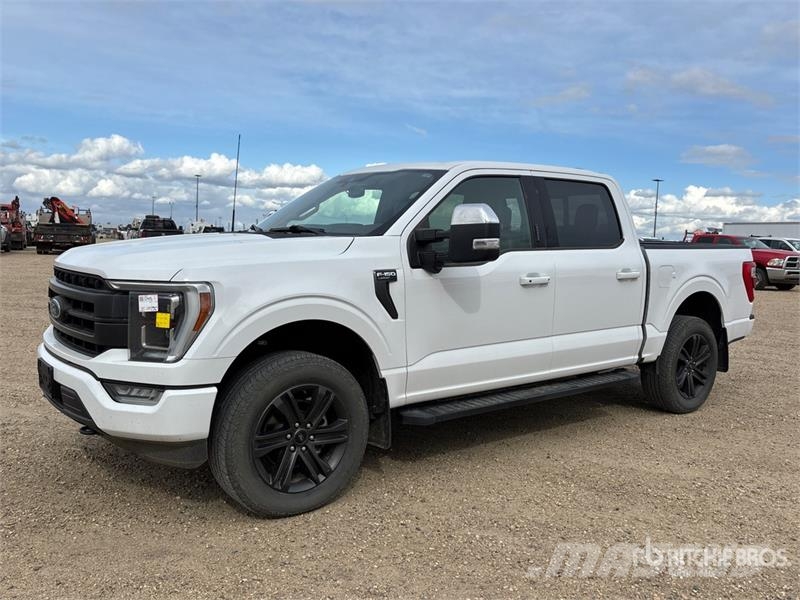 Ford F-150 Lariat 4x4 Crew Cab Pickup Ostalo