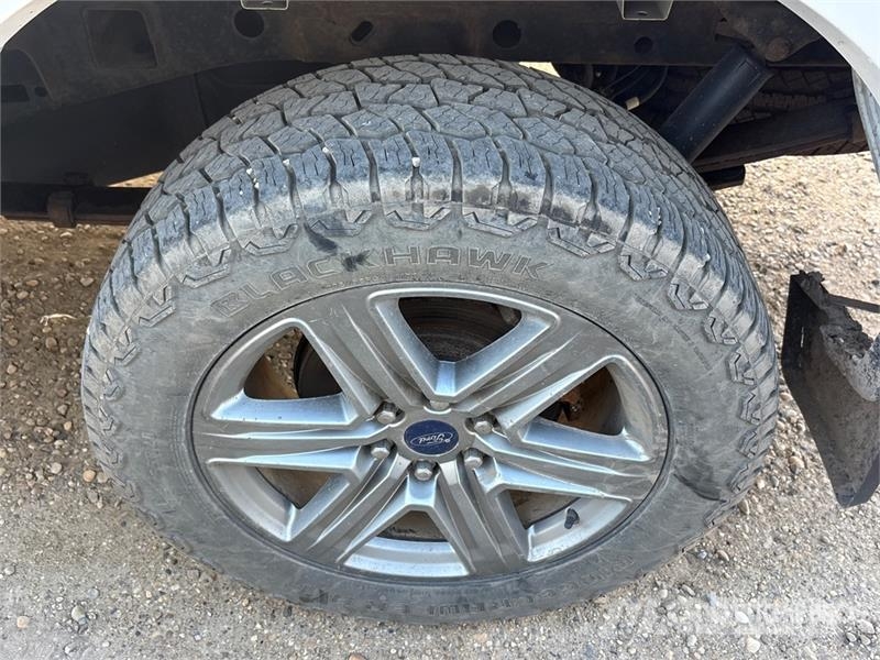 Ford F-150 Lariat 4x4 Crew Cab Pickup Прочие фургоны