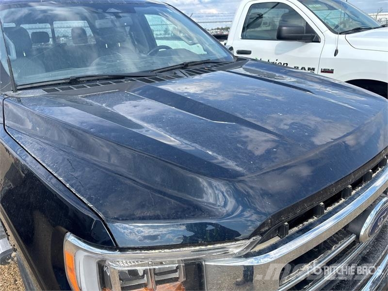 Ford F-150 Lariat 4x4 Crew Cab Pickup Furgoni altro
