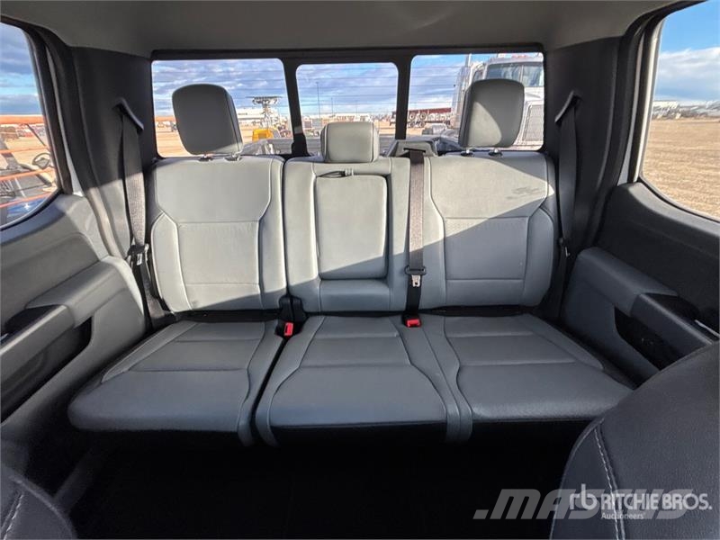 Ford F-150 Lariat 4x4 Crew Cab Pickup أخرى