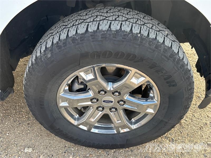 Ford F-150 Lariat 4x4 Crew Cab Pickup أخرى