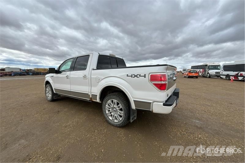 Ford F-150 Platinum 4x4 Crew Cab Pickup Furgoni altro
