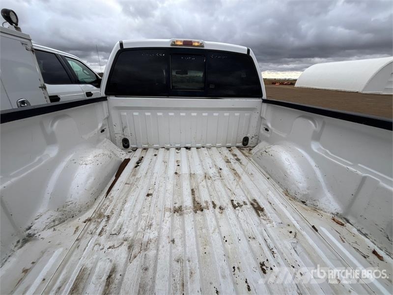 Ford F-150 Platinum 4x4 Crew Cab Pickup Furgoni altro