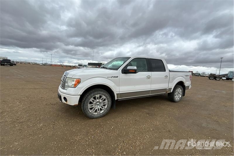 Ford F-150 Platinum 4x4 Crew Cab Pickup Furgoni altro