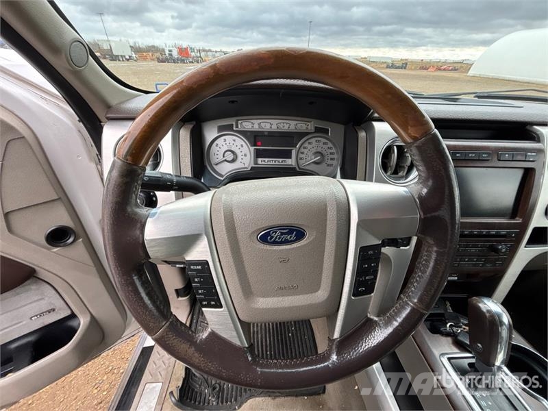 Ford F-150 Platinum 4x4 Crew Cab Pickup Furgoni altro